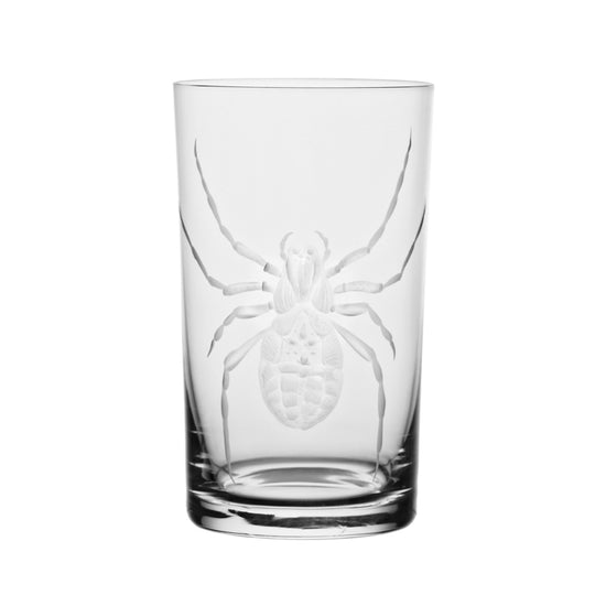 Cabinet of Curiosities Spider