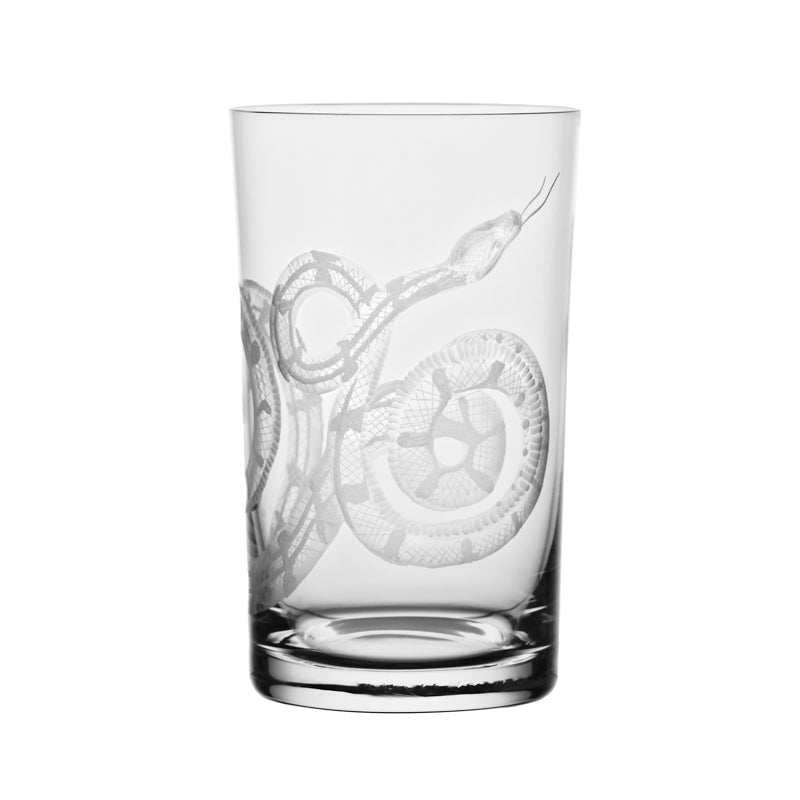 Cabinet of Curiosities Snake