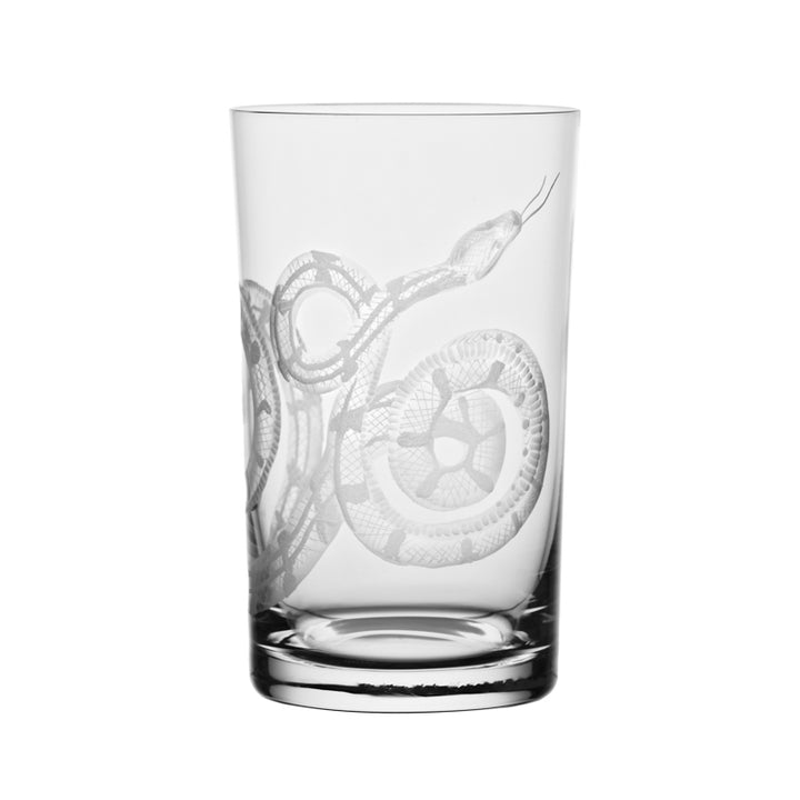 Cabinet of Curiosities Snake