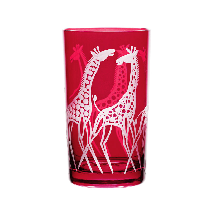 Safari Giraffes