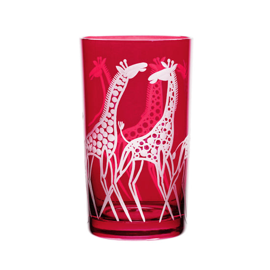 Safari Giraffes