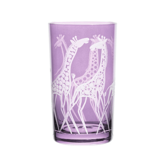 Safari Giraffes