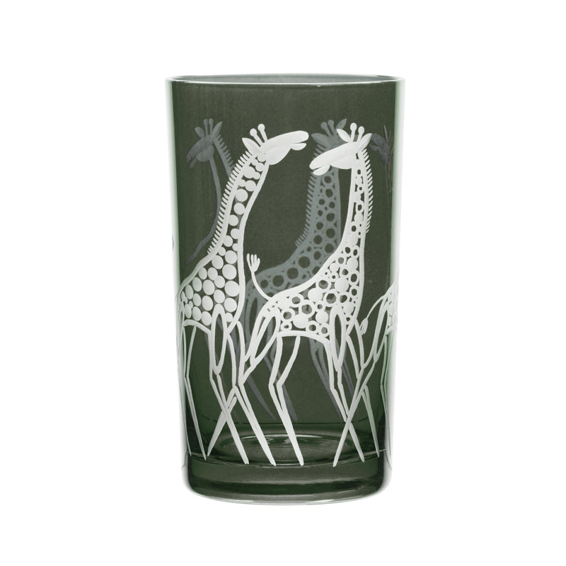 Safari Giraffes