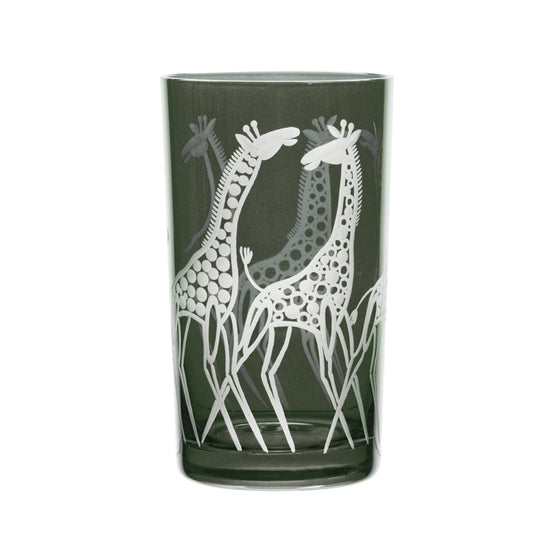 Safari Giraffes