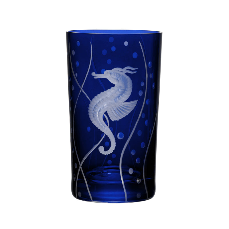 Sea Life Seahorse