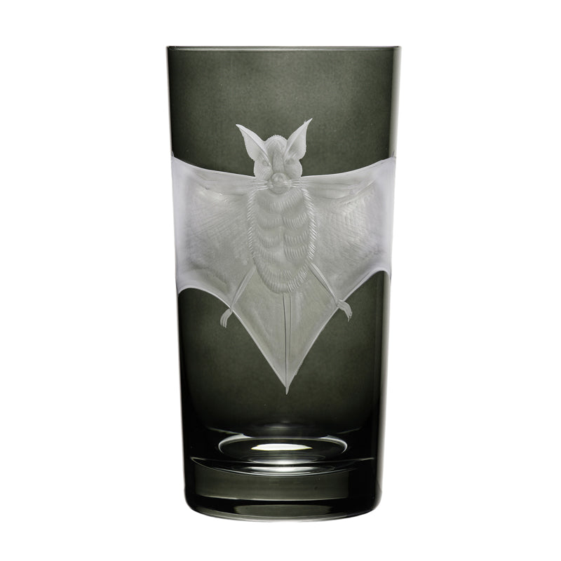 Cabinet of Curiosities Bat