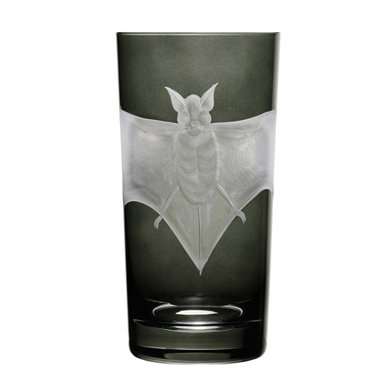 Cabinet of Curiosities Bat