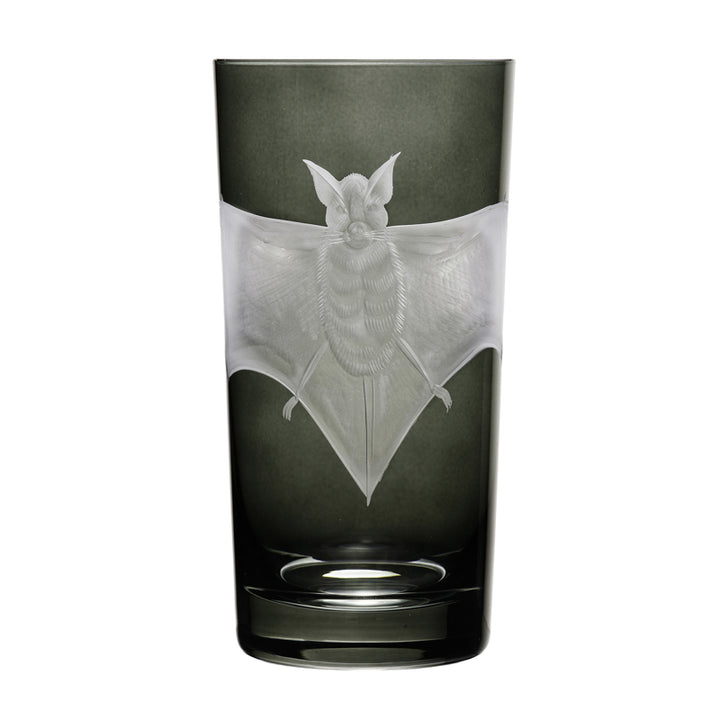 Cabinet of Curiosities Bat