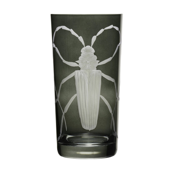 Cabinet of Curiosities Beetle