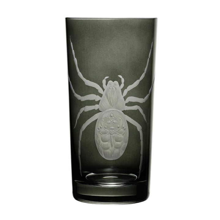 Cabinet of Curiosities Spider