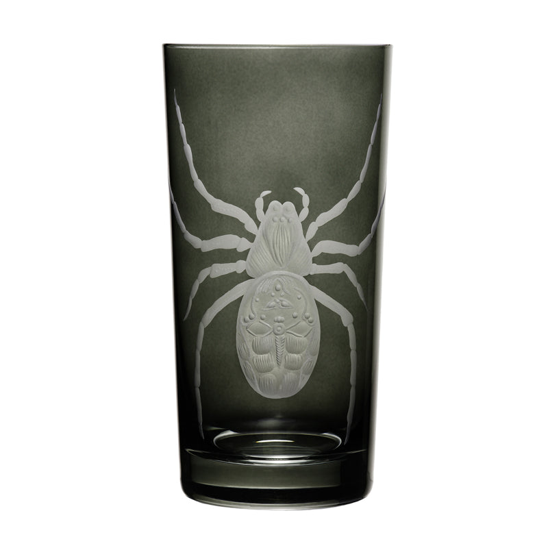 Cabinet of Curiosities Spider