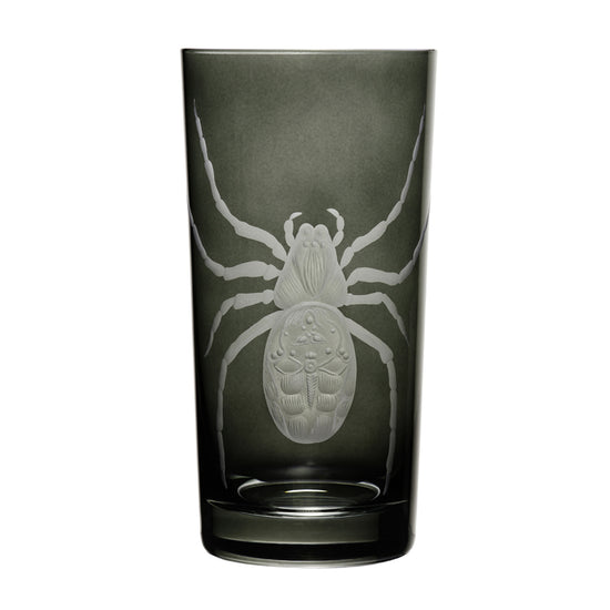 Cabinet of Curiosities Spider