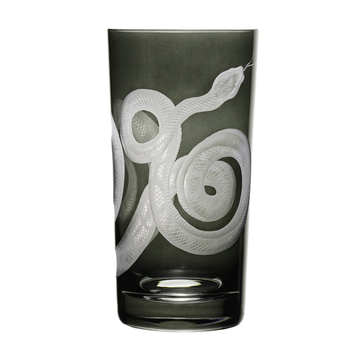 Cabinet of Curiosities Snake