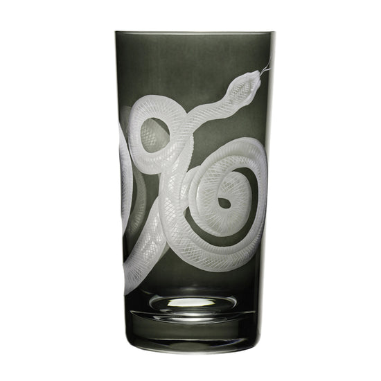 Cabinet of Curiosities Snake