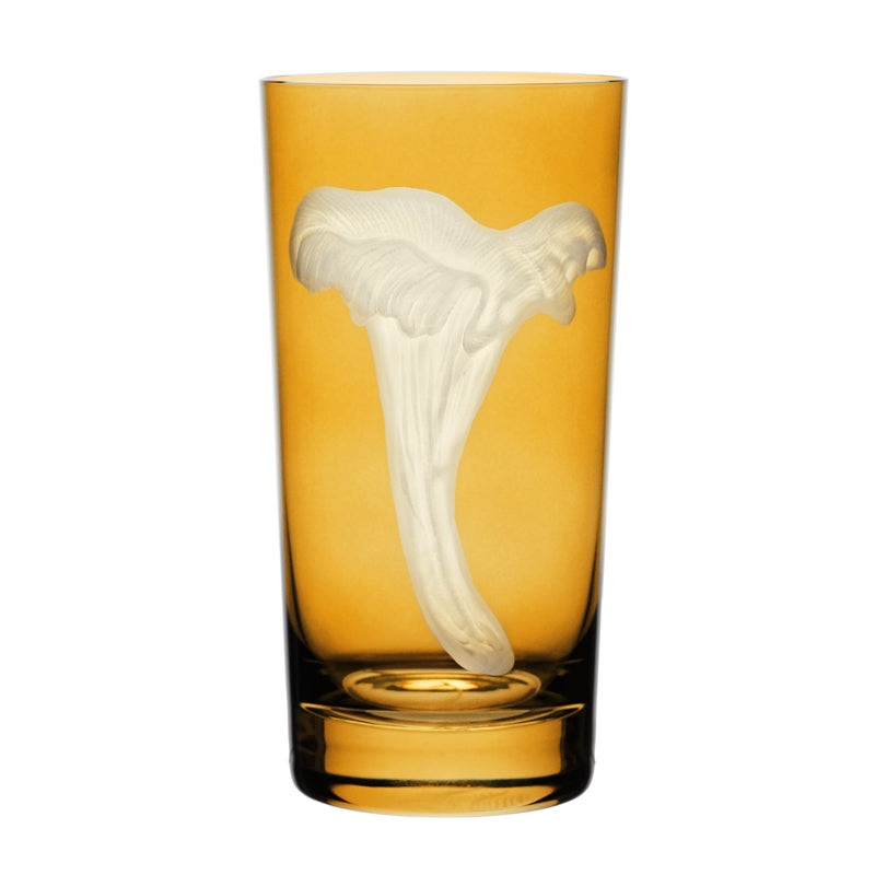 Mushrooms Chanterelle