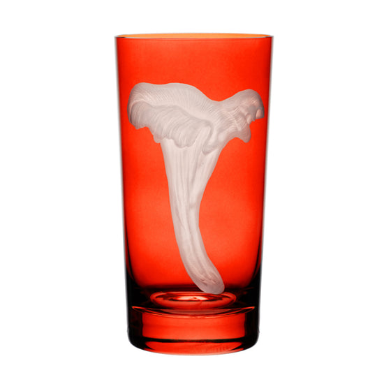 Mushrooms Chanterelle