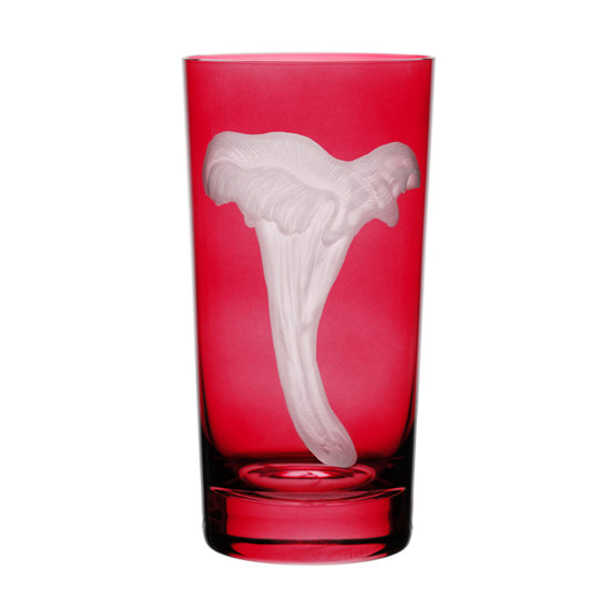 Mushrooms Chanterelle