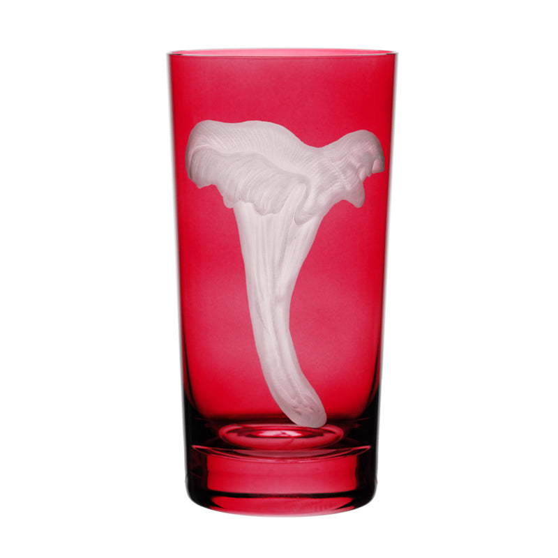 Mushrooms Chanterelle