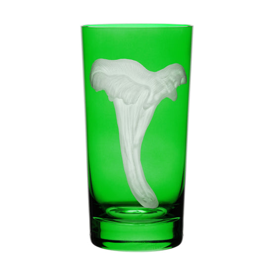 Mushrooms Chanterelle