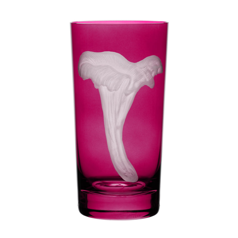 Mushrooms Chanterelle