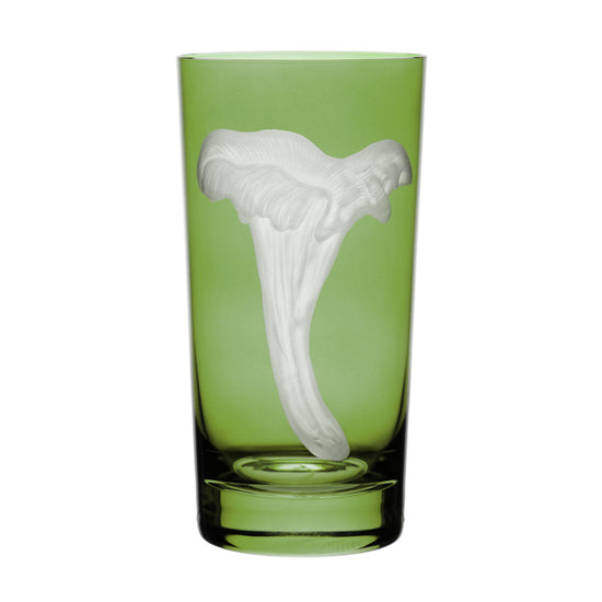 Mushrooms Chanterelle