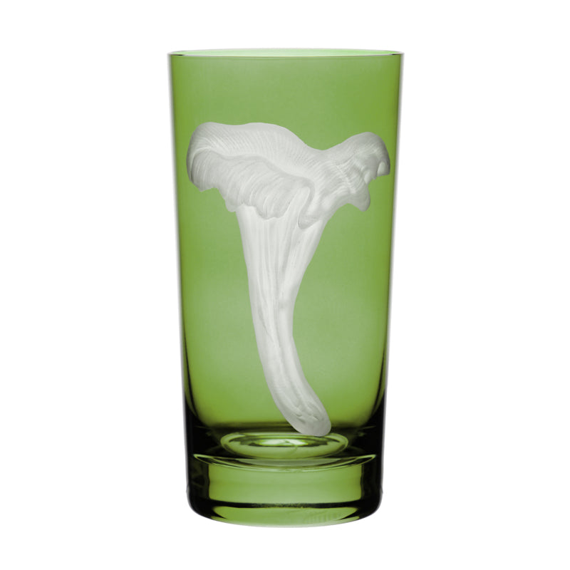 Mushrooms Chanterelle