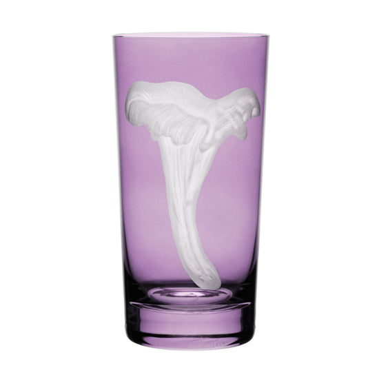 Mushrooms Chanterelle