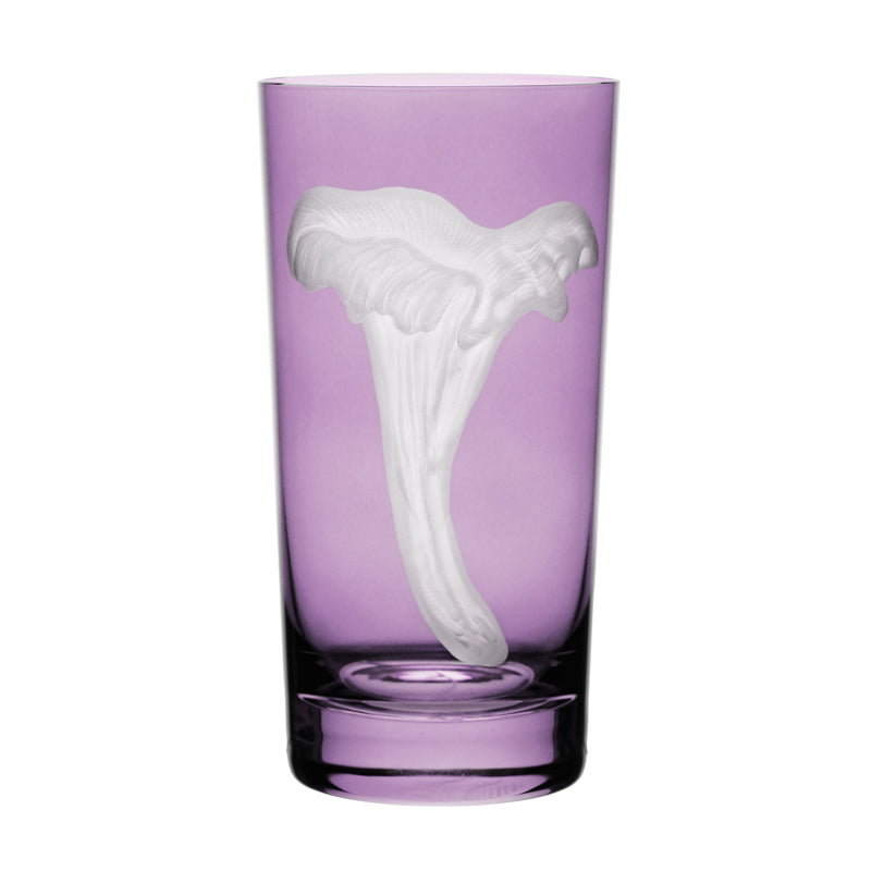 Mushrooms Chanterelle