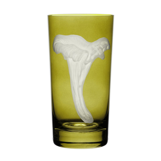 Mushrooms Chanterelle