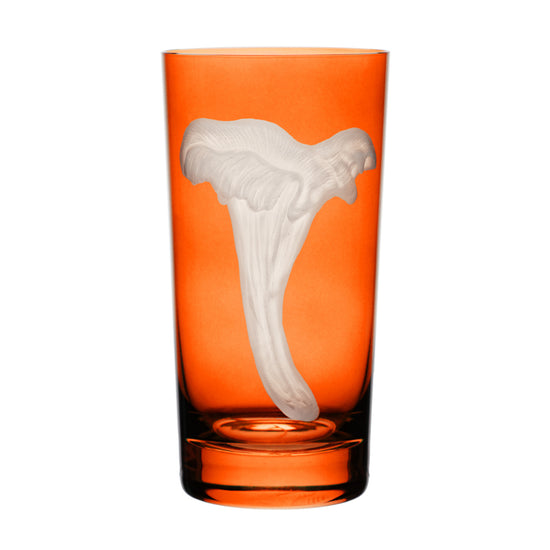 Mushrooms Chanterelle