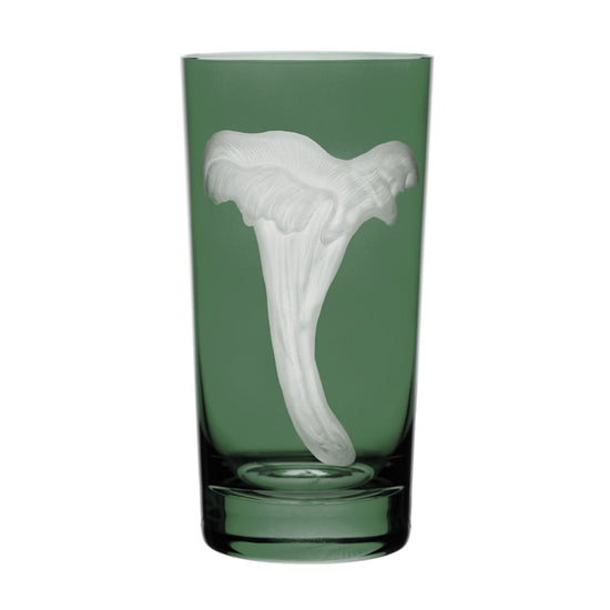 Mushrooms Chanterelle