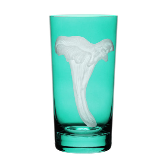 Mushrooms Chanterelle