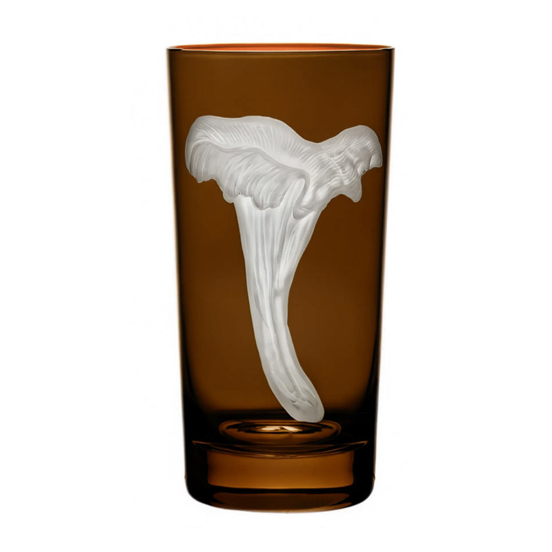 Mushrooms Chanterelle