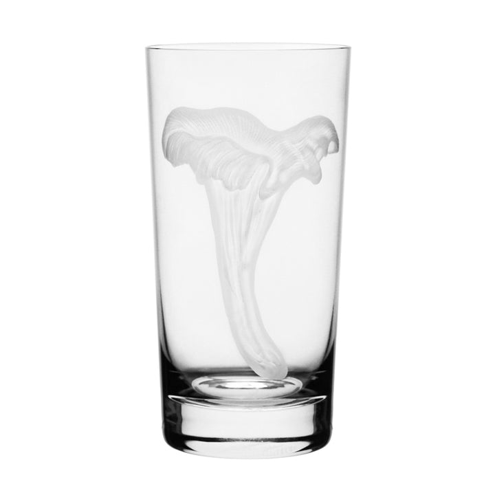 Mushrooms Chanterelle