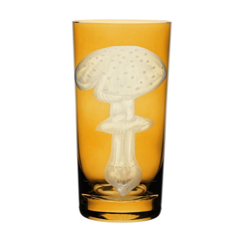 Mushrooms Fly Amanita