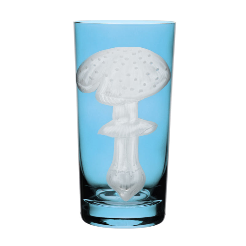 Mushrooms Fly Amanita