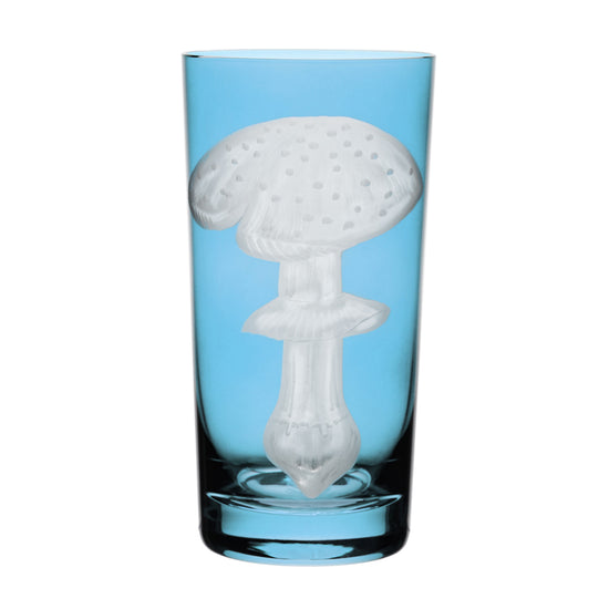 Mushrooms Fly Amanita