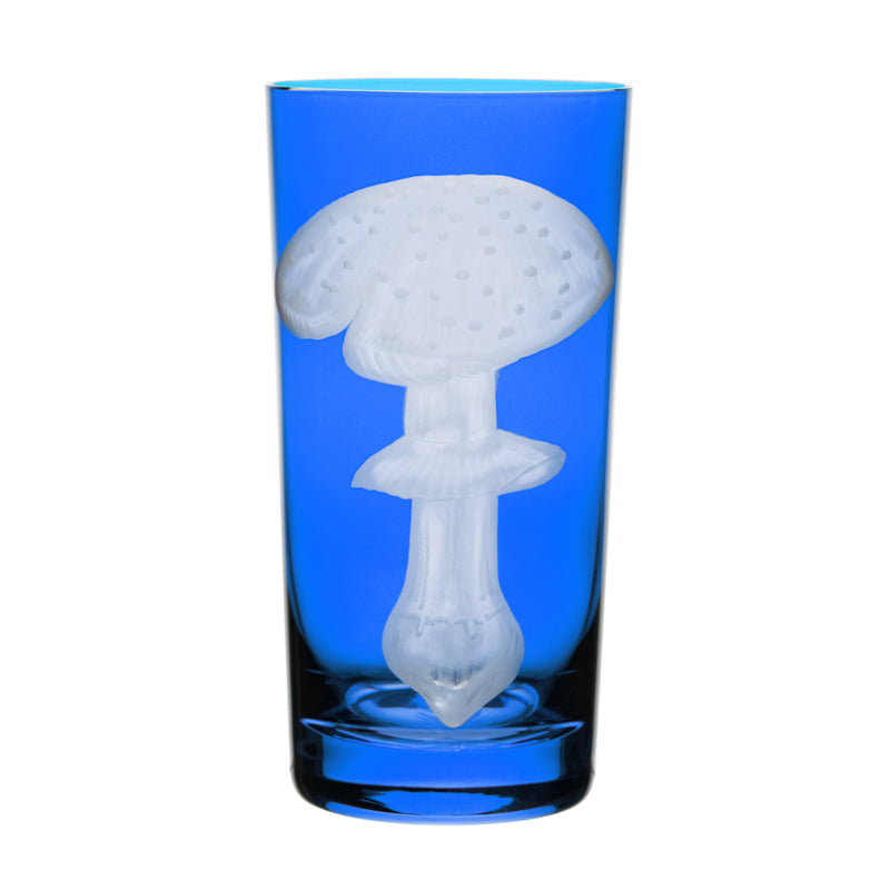 Mushrooms Fly Amanita