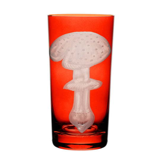 Mushrooms Fly Amanita