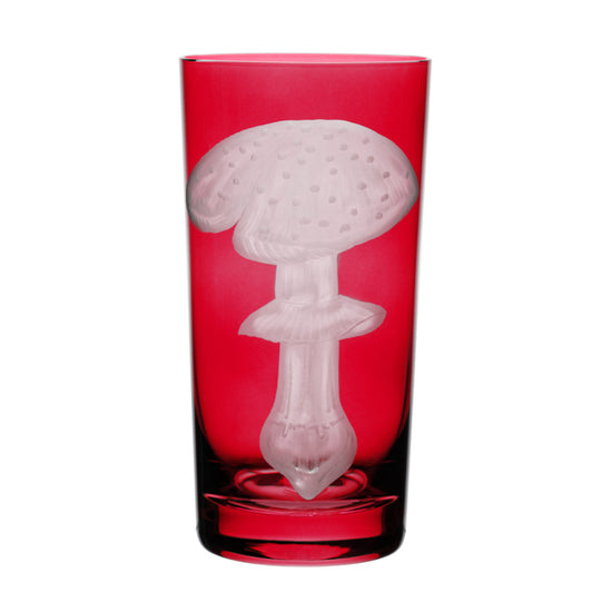 Mushrooms Fly Amanita