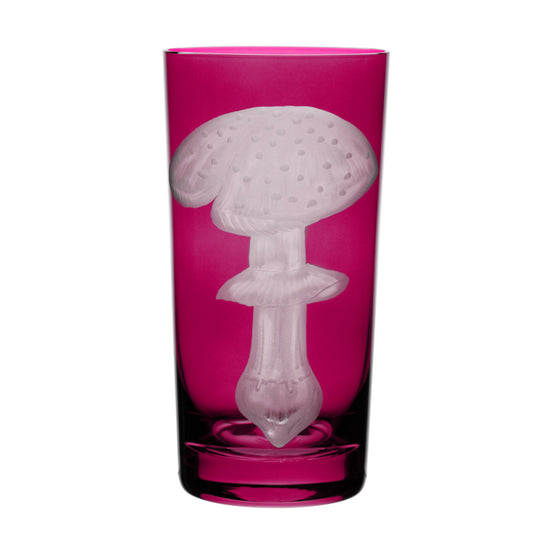 Mushrooms Fly Amanita