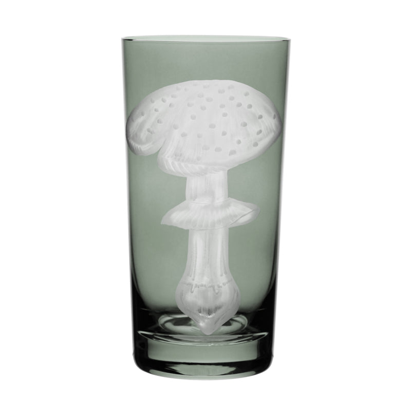 Mushrooms Fly Amanita