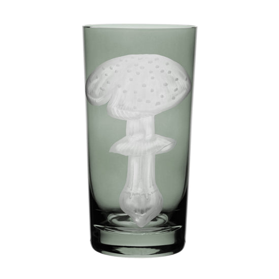 Mushrooms Fly Amanita