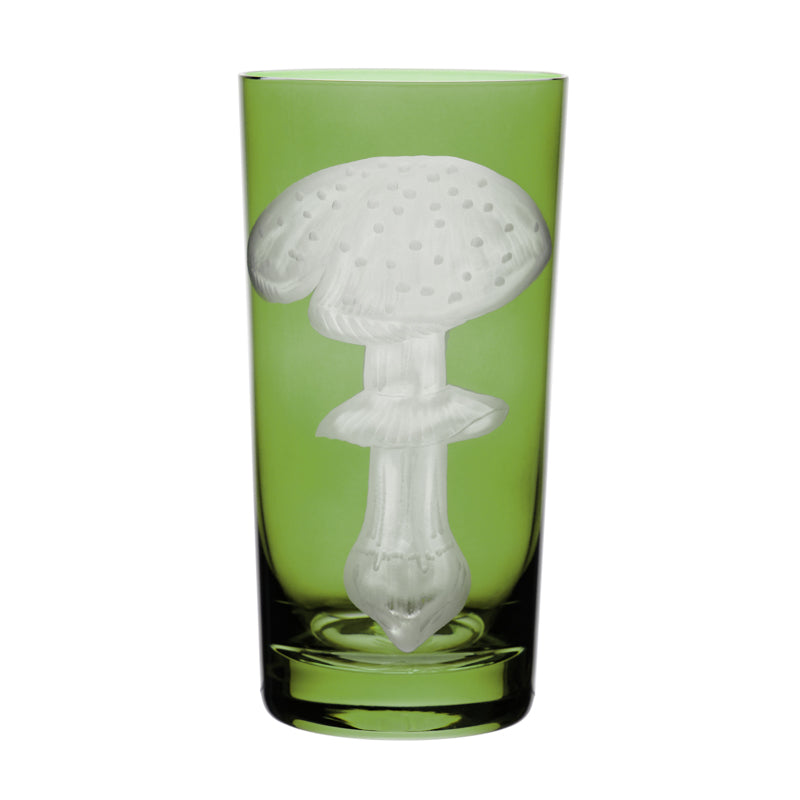 Mushrooms Fly Amanita