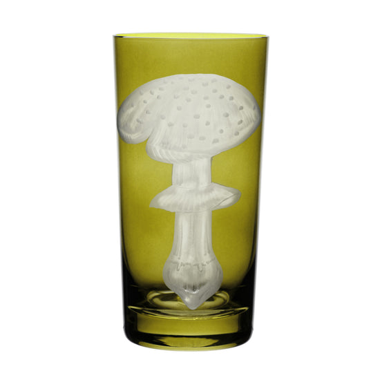 Mushrooms Fly Amanita