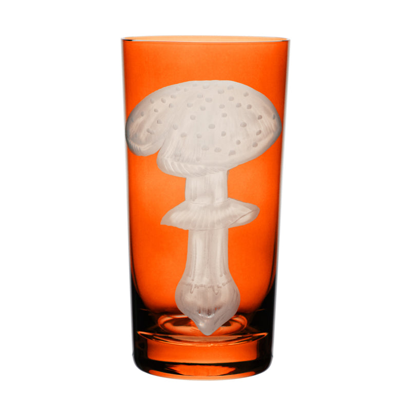 Mushrooms Fly Amanita