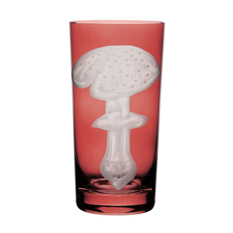 Mushrooms Fly Amanita