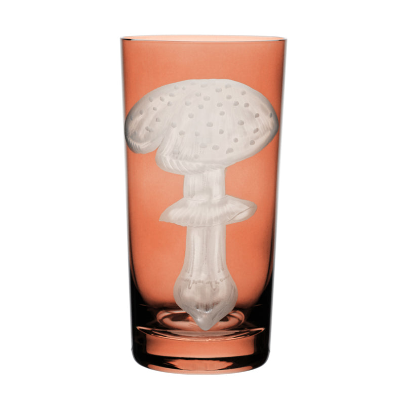 Mushrooms Fly Amanita