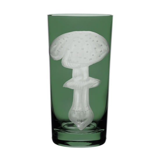 Mushrooms Fly Amanita