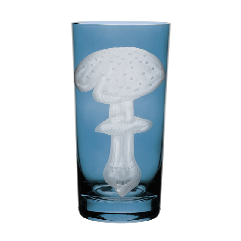 Mushrooms Fly Amanita